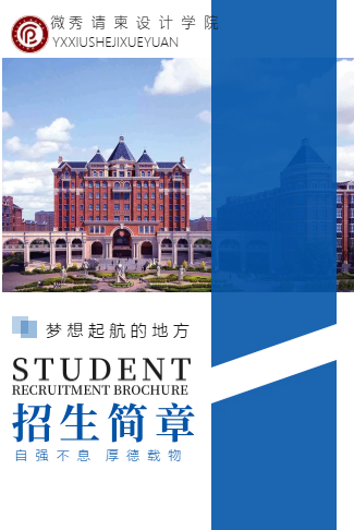 简约风招生简章大学职业技术学院招生目录宣传手册