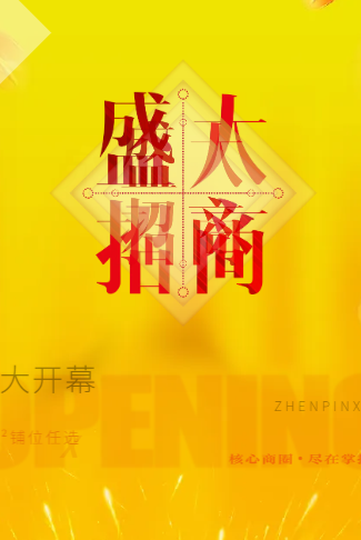 盛大招商快闪简约风格招商启动