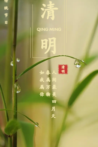 简约清新清明节问候海报