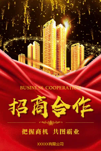震撼高端黑金招商手册/招商合作